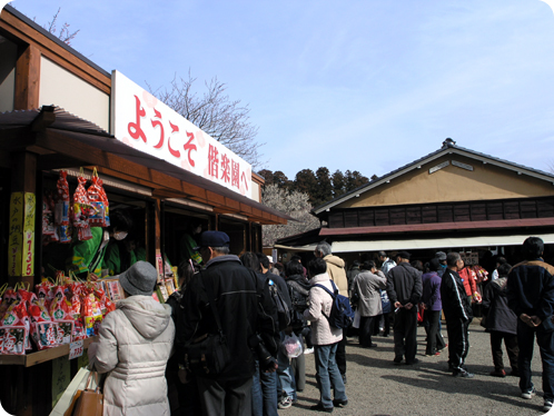 偕楽園の梅2月28日01
