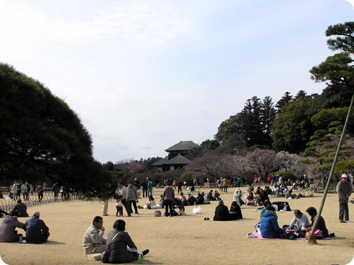 偕楽園の梅2月28日02