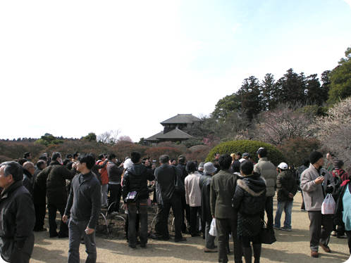 偕楽園の梅2月28日05