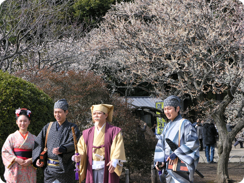 偕楽園の梅2月28日06