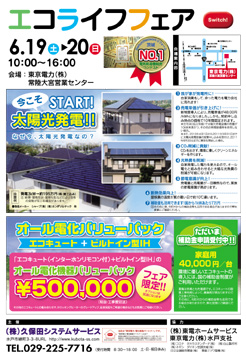 ２０１０年6月常陸大宮エコライフフェアチラシ表S
