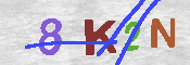 キャプチャ画像