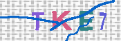 キャプチャ画像
