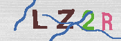 キャプチャ画像