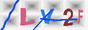 キャプチャ画像