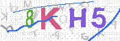 キャプチャ画像