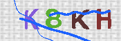 キャプチャ画像