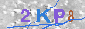 キャプチャ画像