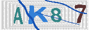 キャプチャ画像