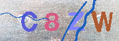 キャプチャ画像