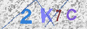 キャプチャ画像