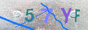 キャプチャ画像
