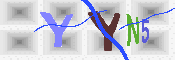 キャプチャ画像