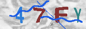 キャプチャ画像