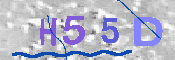キャプチャ画像