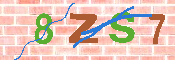 キャプチャ画像
