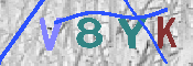 キャプチャ画像