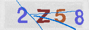 キャプチャ画像