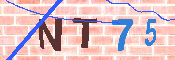 キャプチャ画像