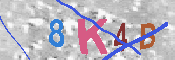 キャプチャ画像
