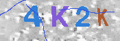 キャプチャ画像