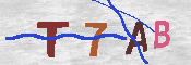 キャプチャ画像