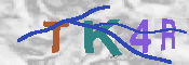 キャプチャ画像