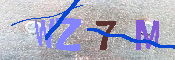 キャプチャ画像