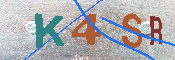 キャプチャ画像