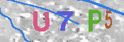 キャプチャ画像