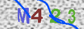 キャプチャ画像
