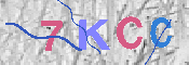 キャプチャ画像