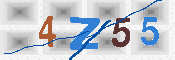 キャプチャ画像