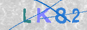 キャプチャ画像