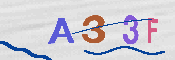 キャプチャ画像
