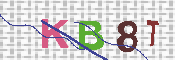 キャプチャ画像