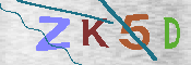 キャプチャ画像