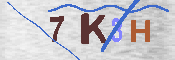キャプチャ画像