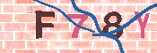 キャプチャ画像