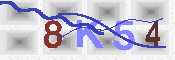 キャプチャ画像