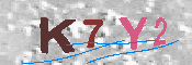 キャプチャ画像