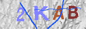 キャプチャ画像