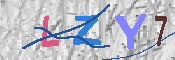 キャプチャ画像