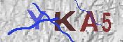 キャプチャ画像