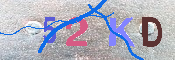 キャプチャ画像