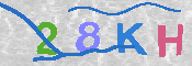 キャプチャ画像