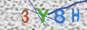 キャプチャ画像