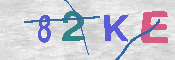 キャプチャ画像