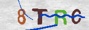 キャプチャ画像
