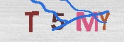 キャプチャ画像